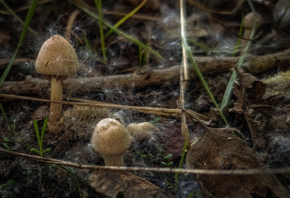 Photograph by Ekaterina Khuzhaeva