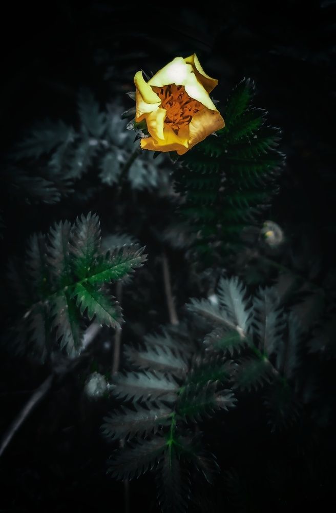 Photograph by Ekaterina Khuzhaeva