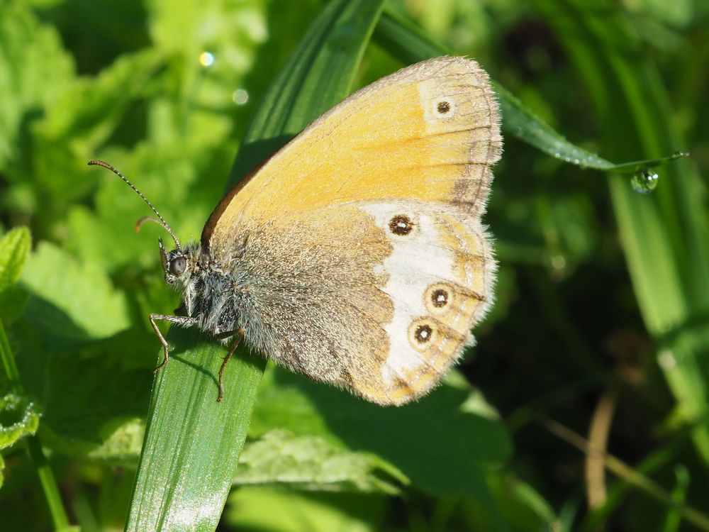 Photograph by Елена Харитонова