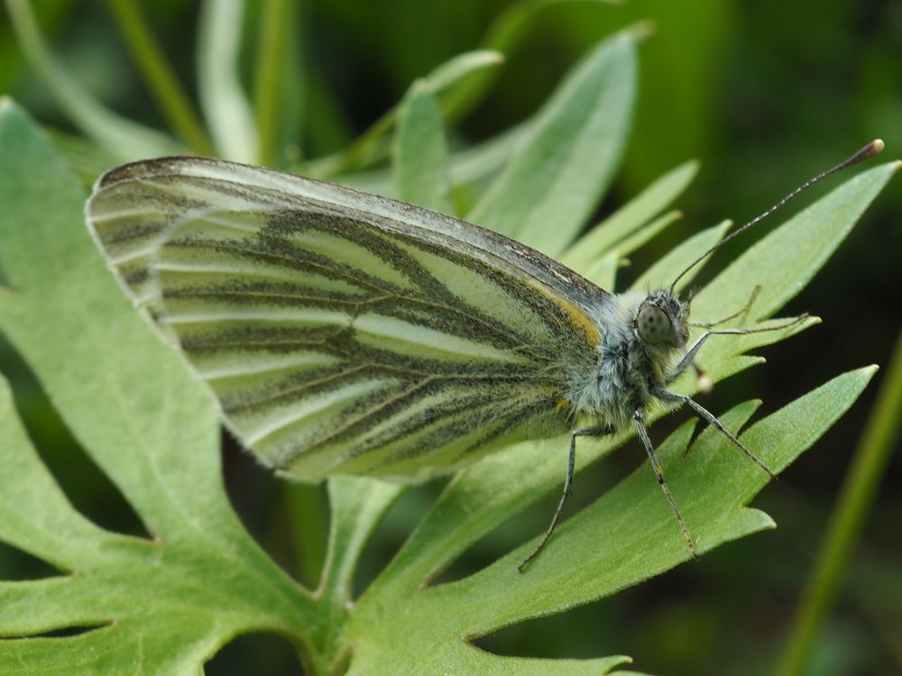 Photograph by Елена Харитонова