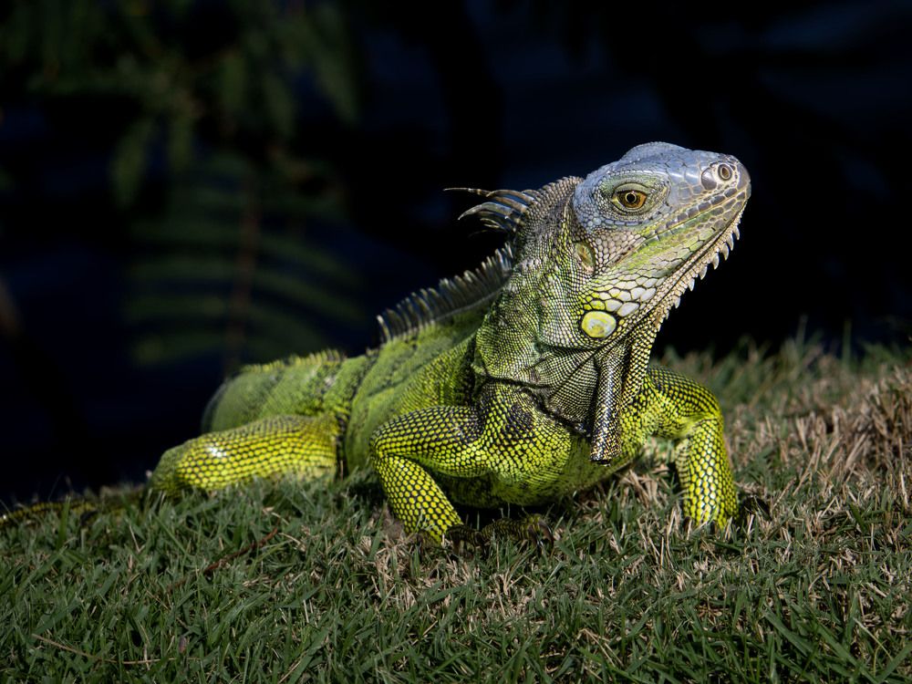 Photograph by Israel Pacheco