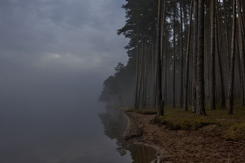 Photograph by Татьяна Полянская