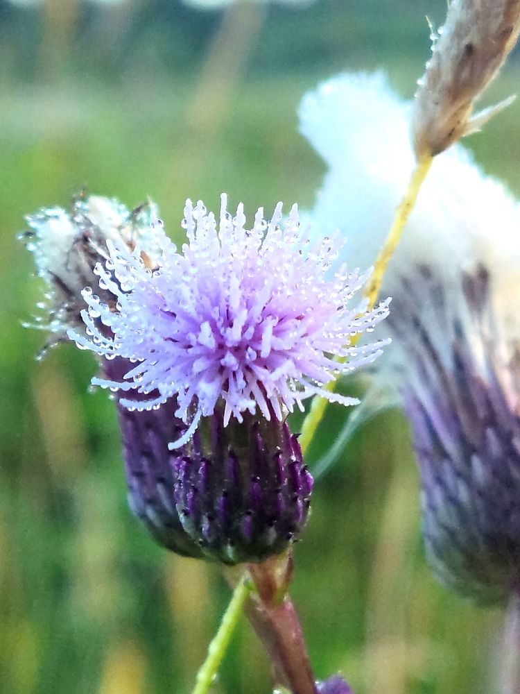 Фотография автора Михаил Кротков