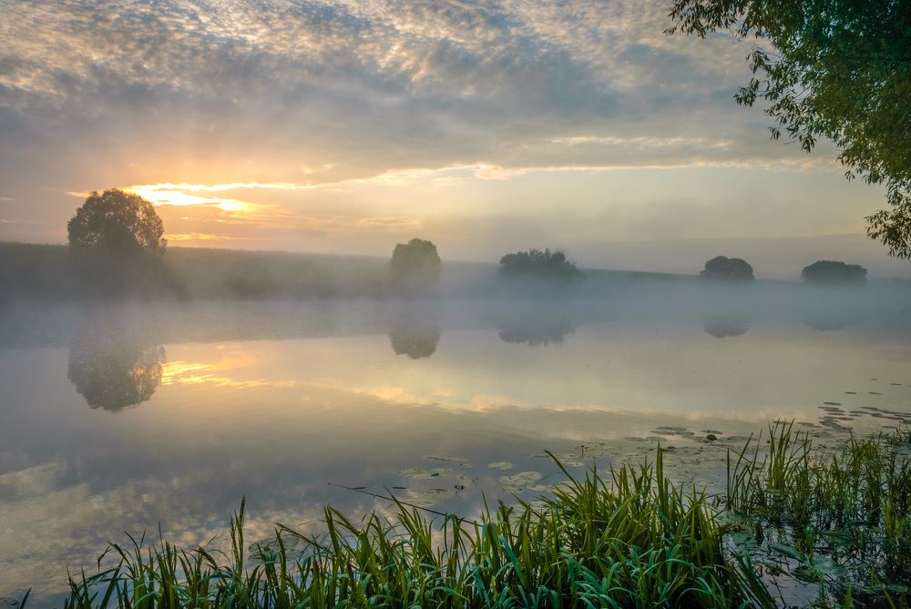 Утро над Доном