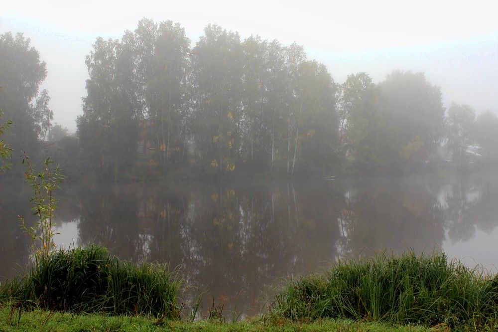 Photograph by Галина Мазур