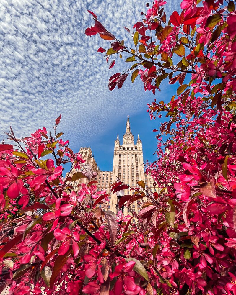 Фотография автора Мазурева Анастасия
