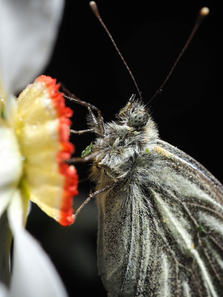 Photograph by Сергей Калёв