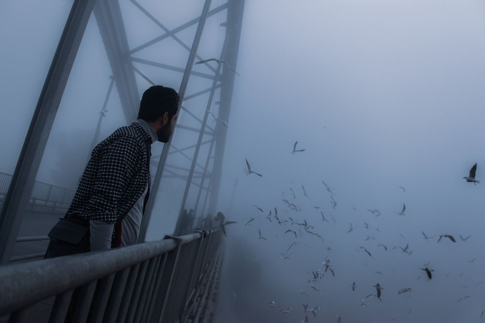 Photograph by Amin Jamei