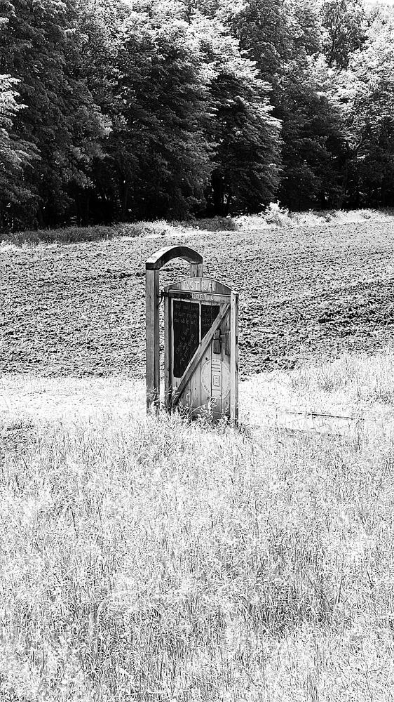 Photograph by Csilla Kelemen