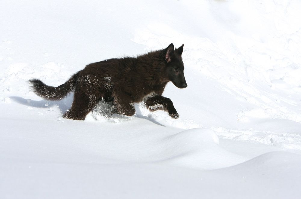 Фотография автора Надежда Лисицына