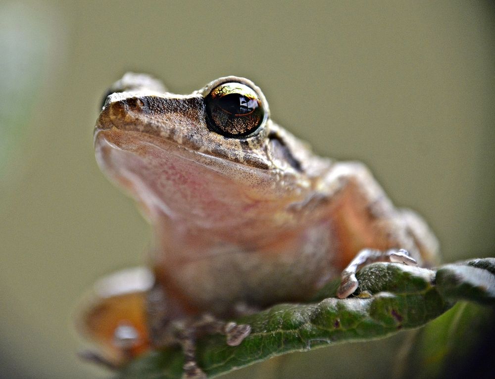 Photograph by FRANCISCO FERREIRA