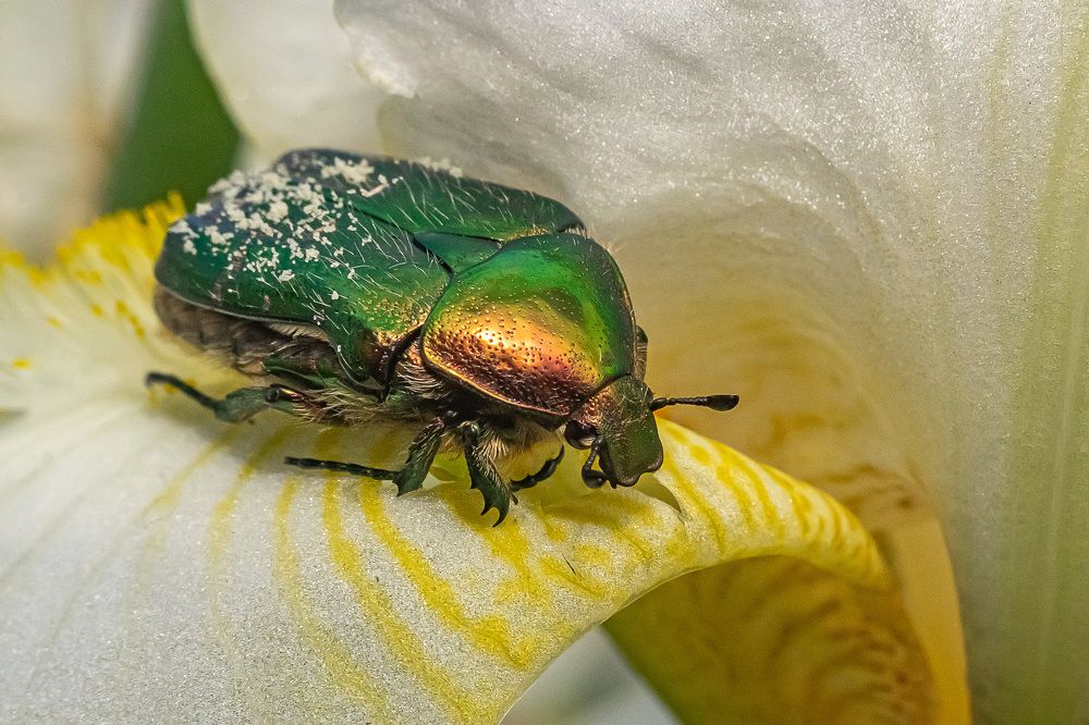 Фотография автора Николай Бологов