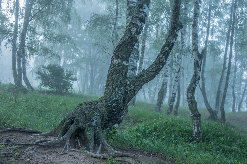 Photograph by Илья Смыков