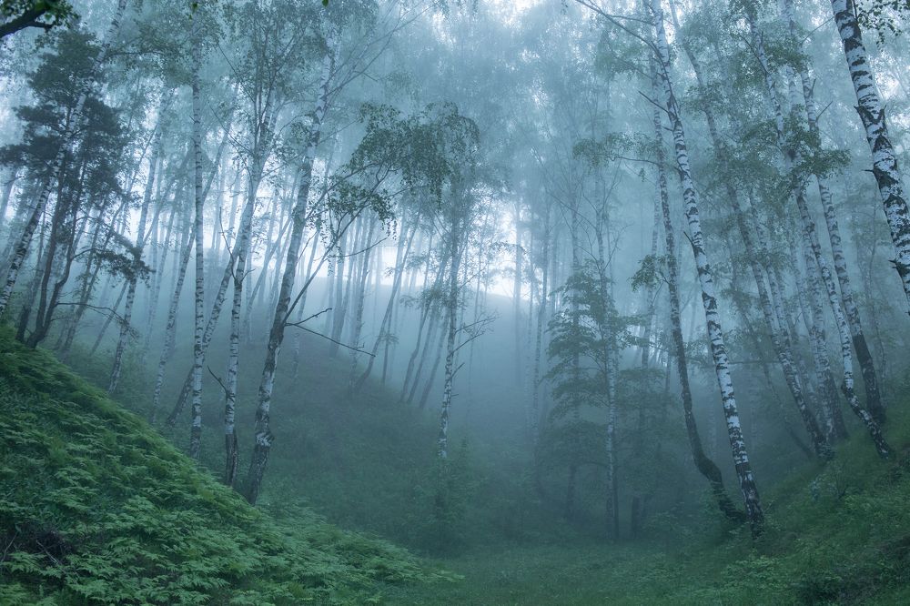 Photograph by Илья Смыков