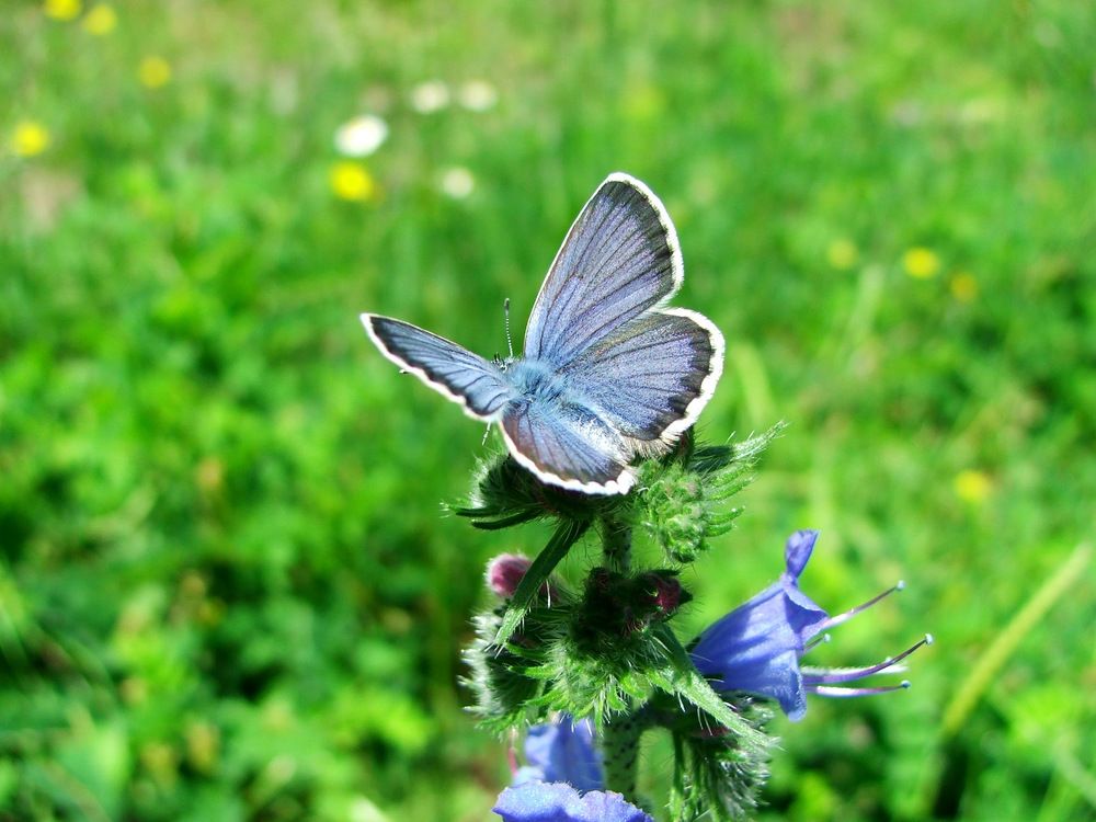 Photograph by Cengiz Yalcin