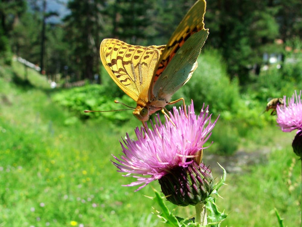 Photograph by Cengiz Yalcin