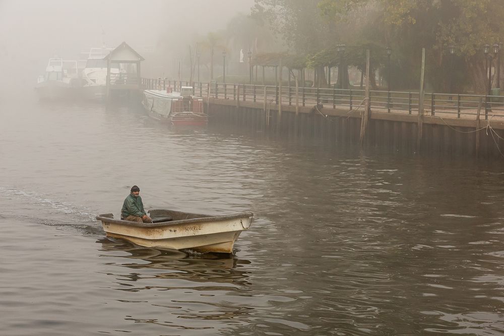 Фотография автора Carlos Gianoli