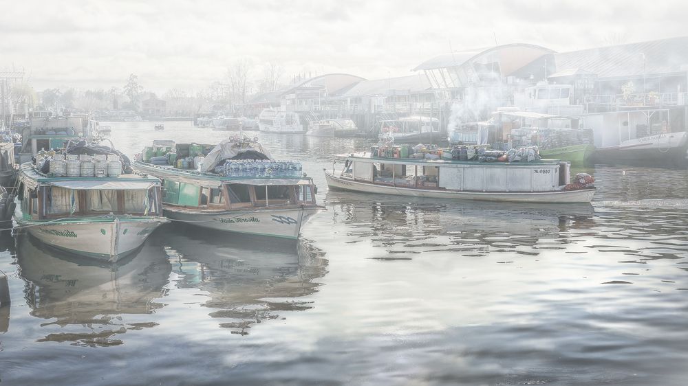 Фотография автора Carlos Gianoli