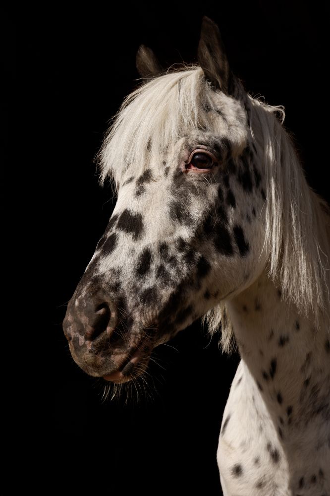 Photograph by Евгения Титова