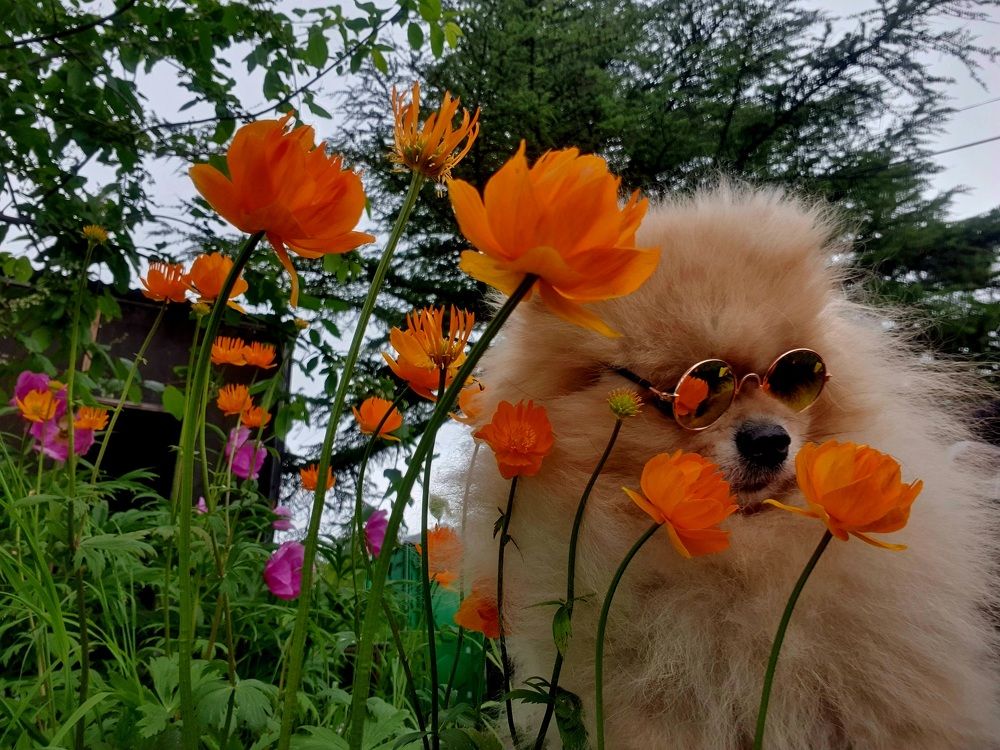 Photograph by Валерия