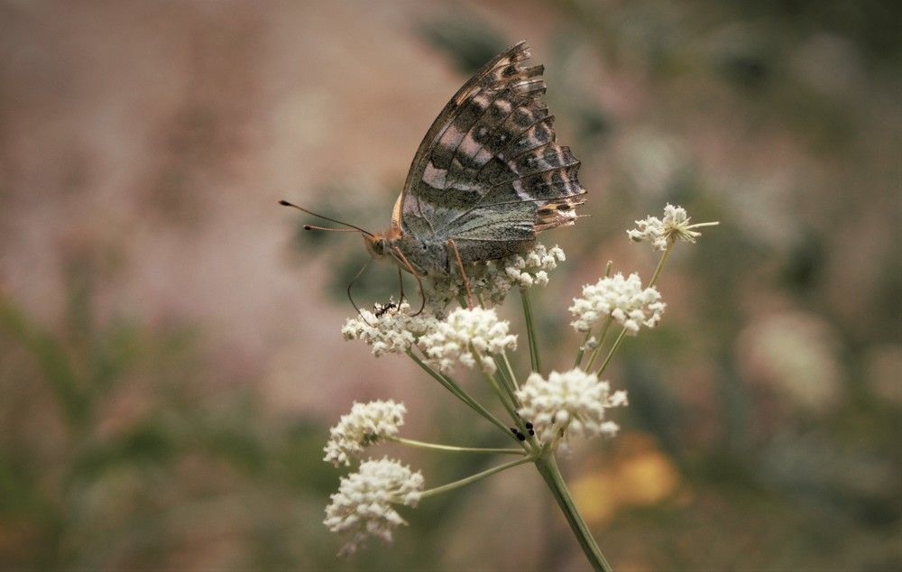 Photograph by Екатерина Ботникова
