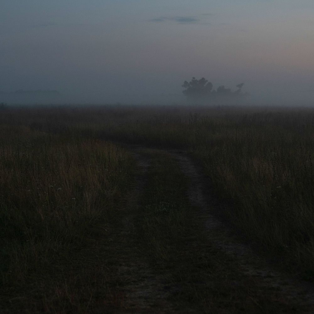 Фотография автора Илья Яковлев