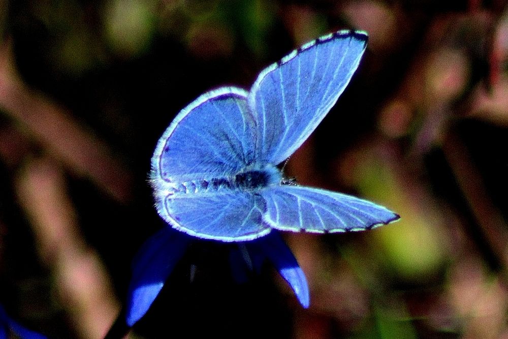 Photograph by Анна Восковых