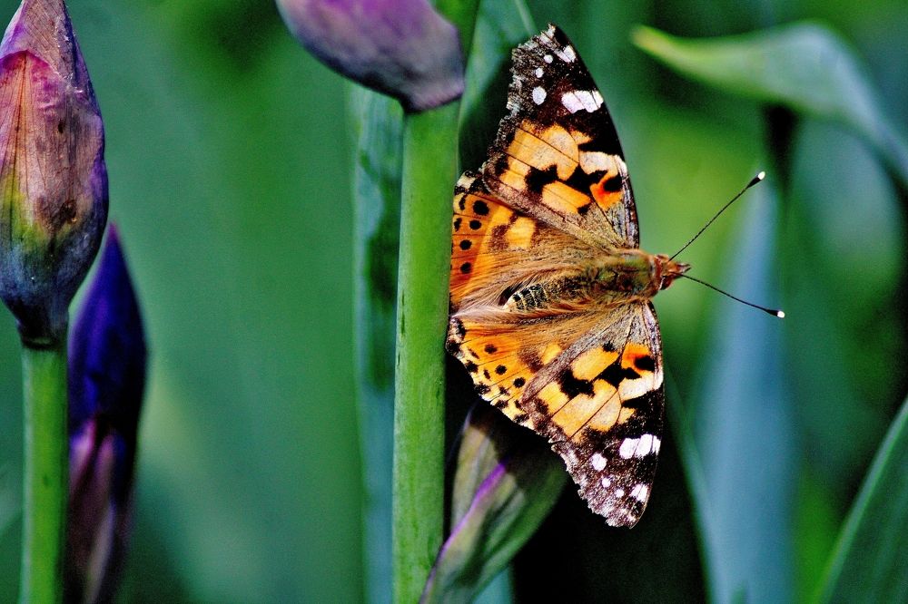 Photograph by Анна Восковых