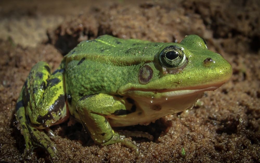 Photograph by Виктор Рыков