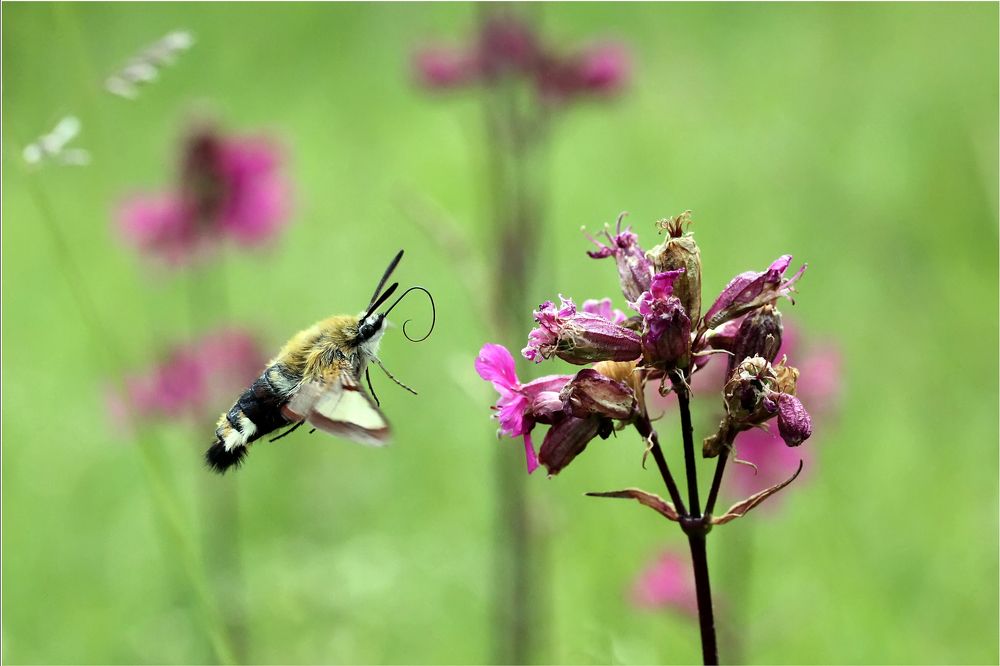Photograph by Юрий Соколков