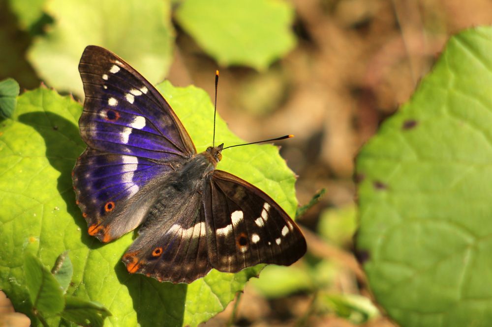 Photograph by Юрий Соколков