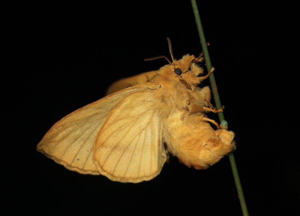 Photograph by Юрий Соколков