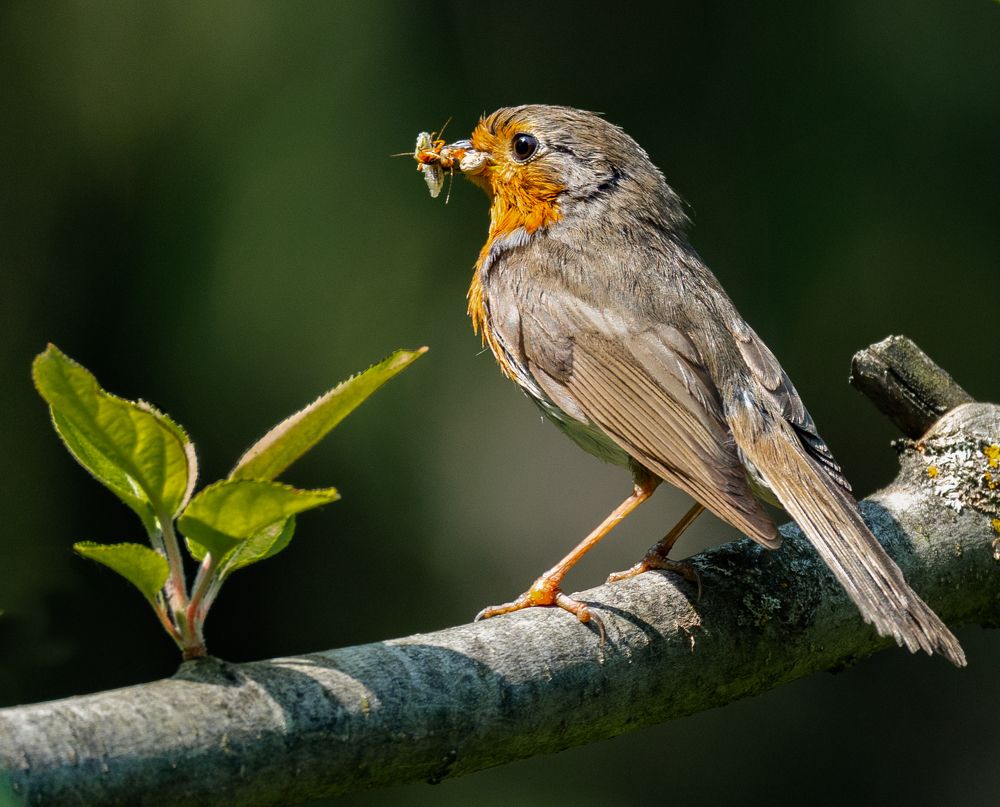 Photograph by Курлянцев Алексей