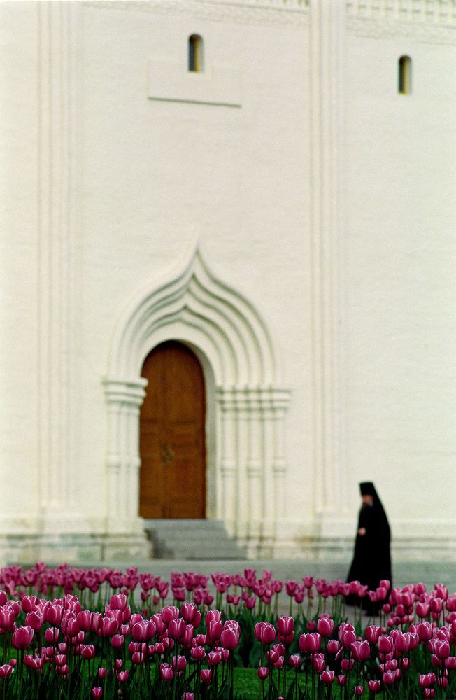 Фотография автора Alexey Drozdov