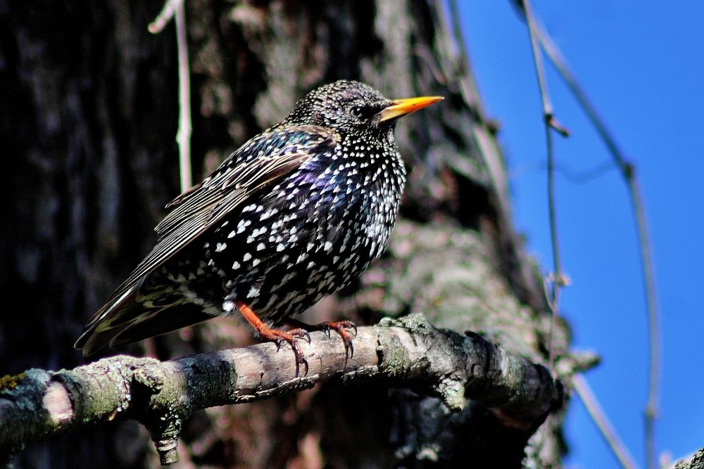 Photograph by Анна Восковых