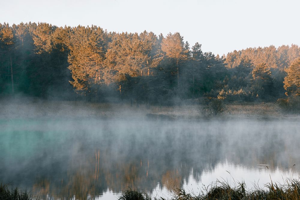 Photograph by Дмитрий Бровко