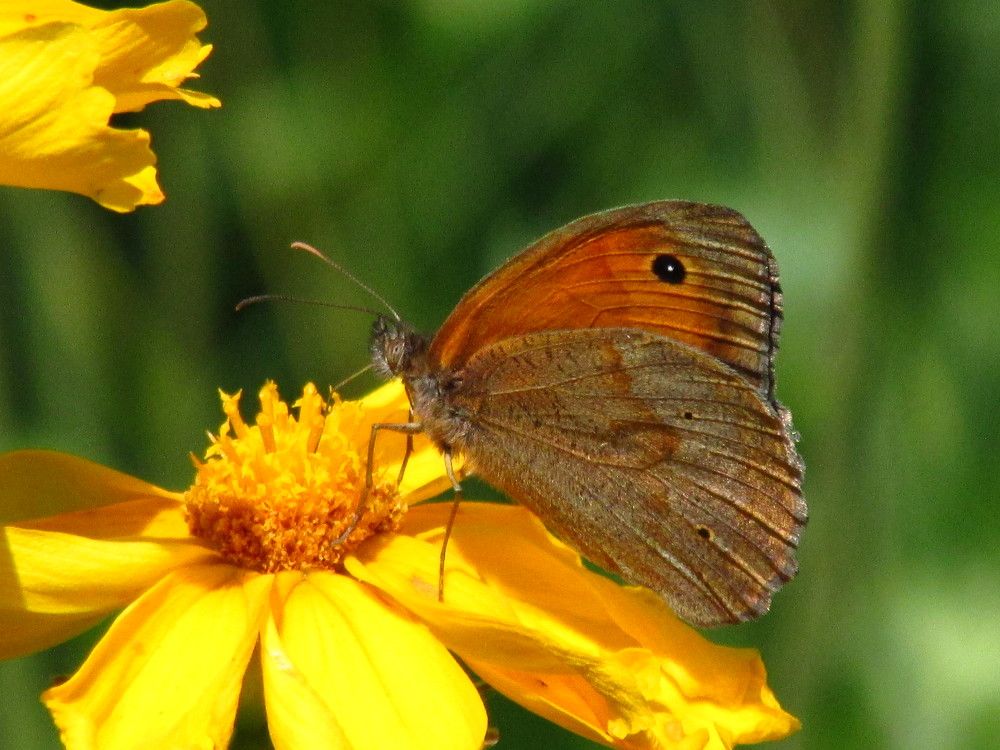 Photograph by Галина Лысых