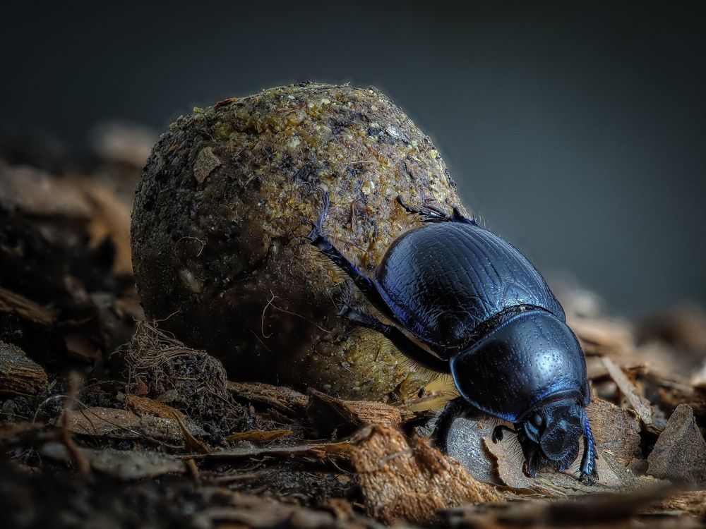 Photograph by савицкий олег