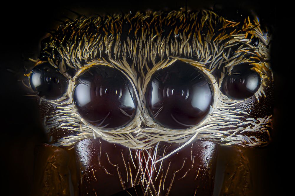 Photograph by José María Crisol Oca