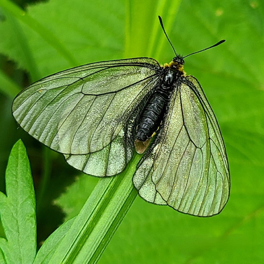 Photograph by Татьяна Анатольевна