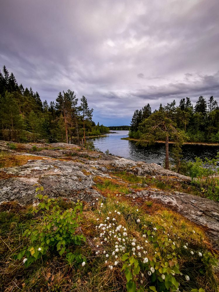 Photograph by Наталья Хачик