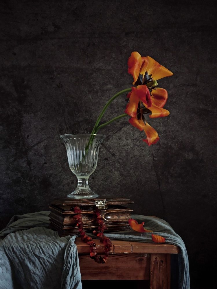 Photograph by Дина Полухина