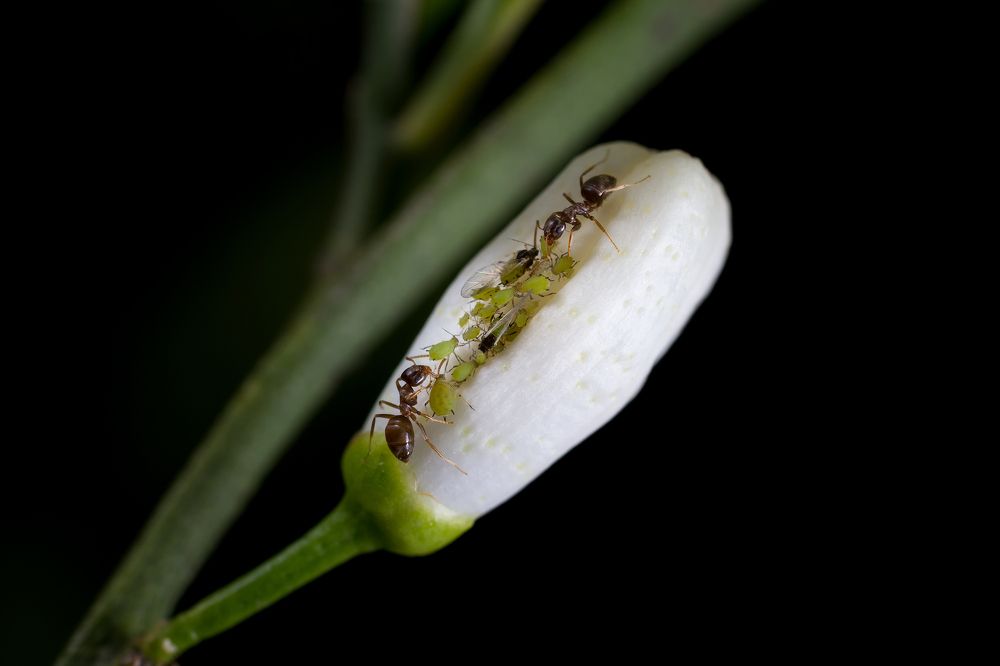 Photograph by Артур