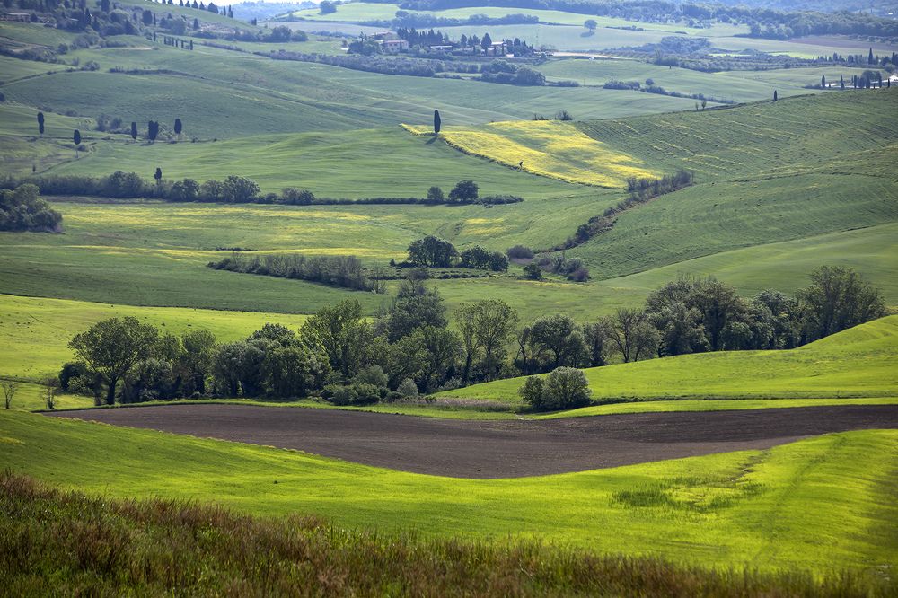 Photograph by Валентина Булкина