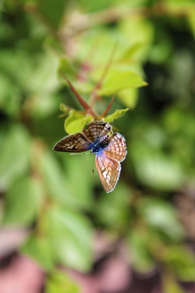 Photograph by NARJES  Al_Bayati (Narjes Zahra)