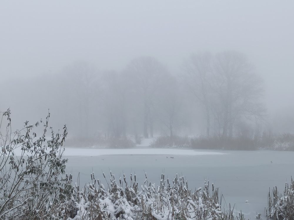 Photograph by Дина Полухина