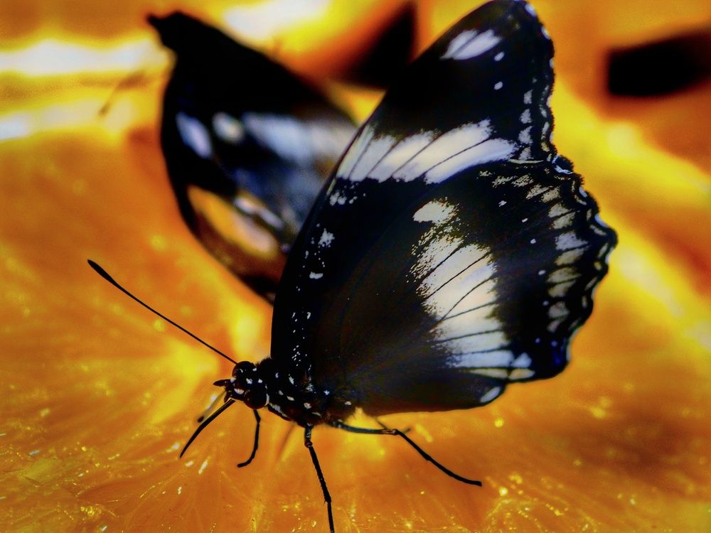 Photograph by Наталия Романова