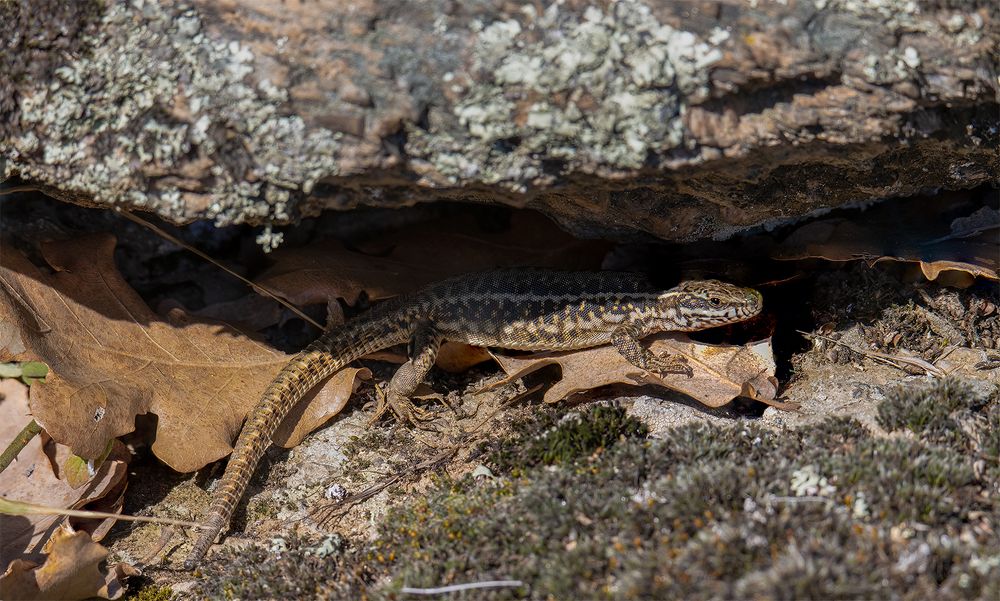 Photograph by Sajkovski Dejan