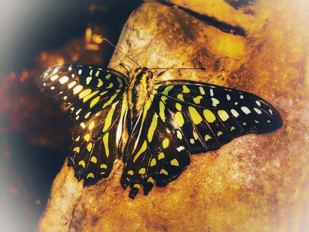 Photograph by Наталия Романова