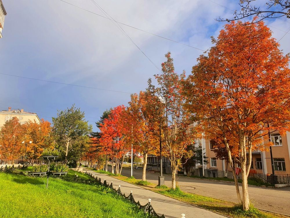 Photograph by Валерия Столбова